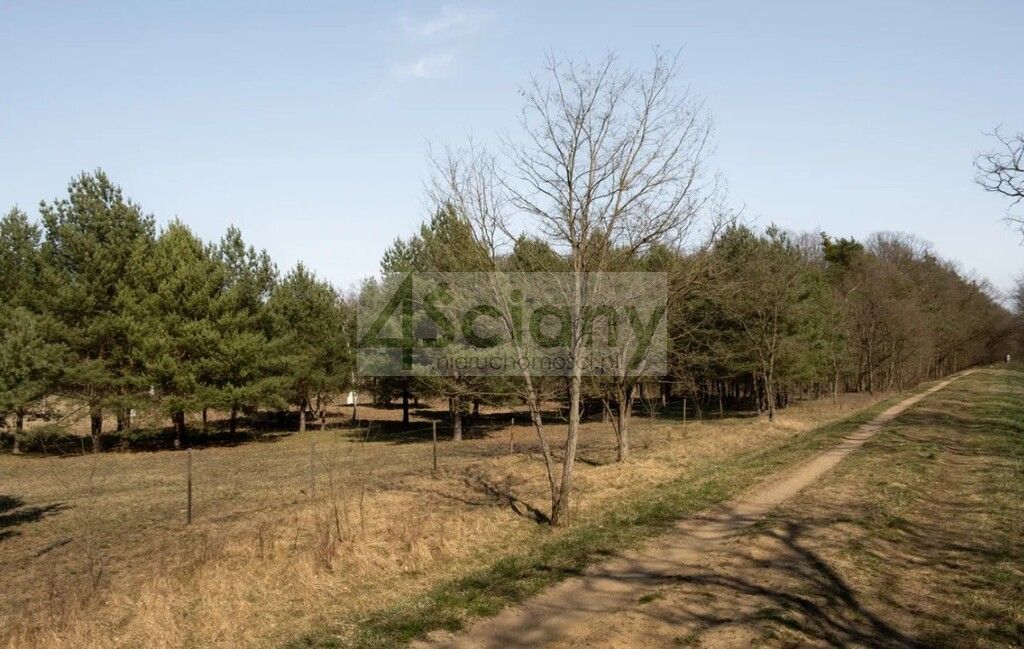 Działka budowlana Rajszew. Zdjęcie 5