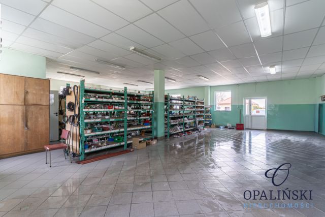 Lokal Cieszanów, ul. Cerkiewna. Zdjęcie 2