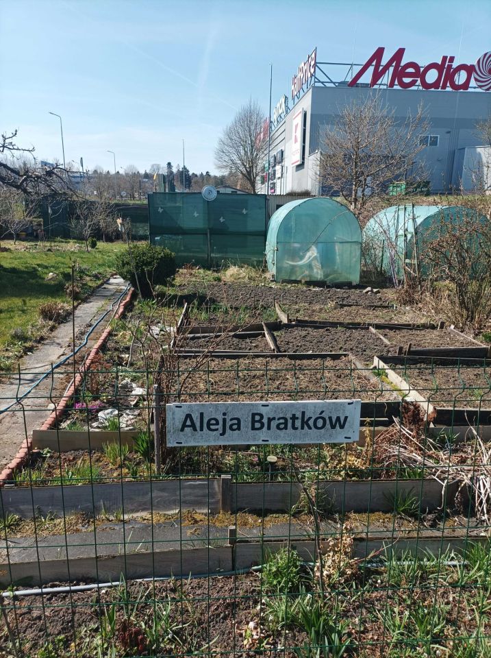 Działka rod Koszalin. Zdjęcie 2