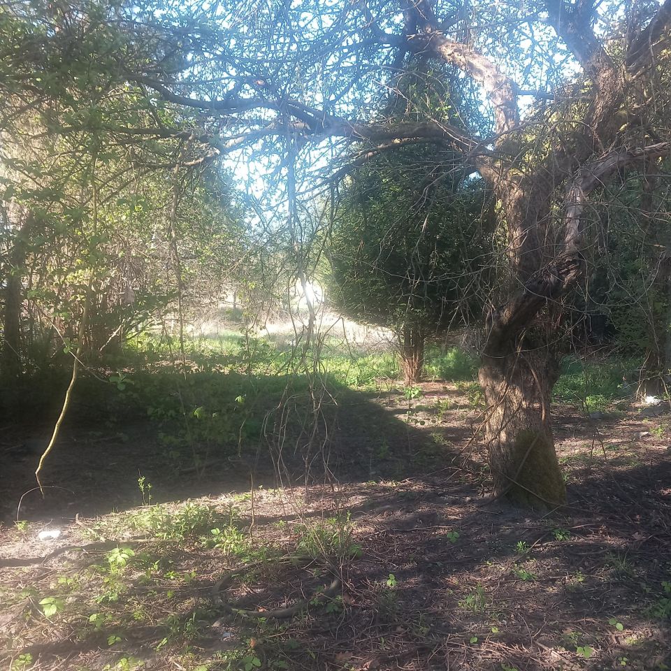 dom wolnostojący, 3 pokoje Sosnowiec Feliks, Felix. Zdjęcie 2