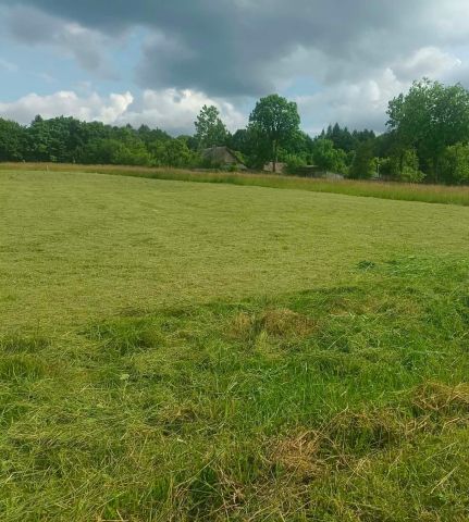 Działka inwestycyjna Nowek. Zdjęcie 1