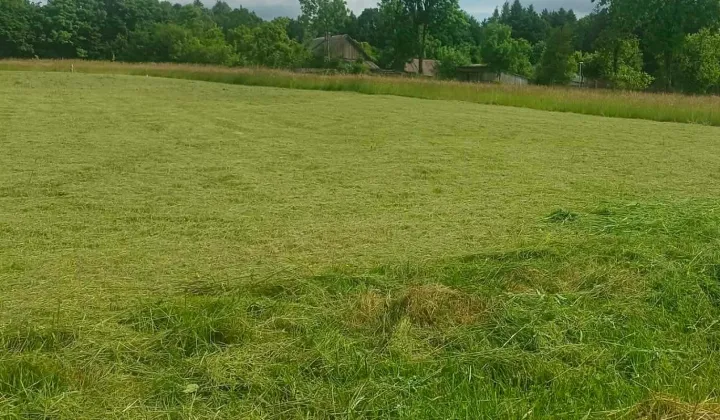 Działka inwestycyjna Nowek