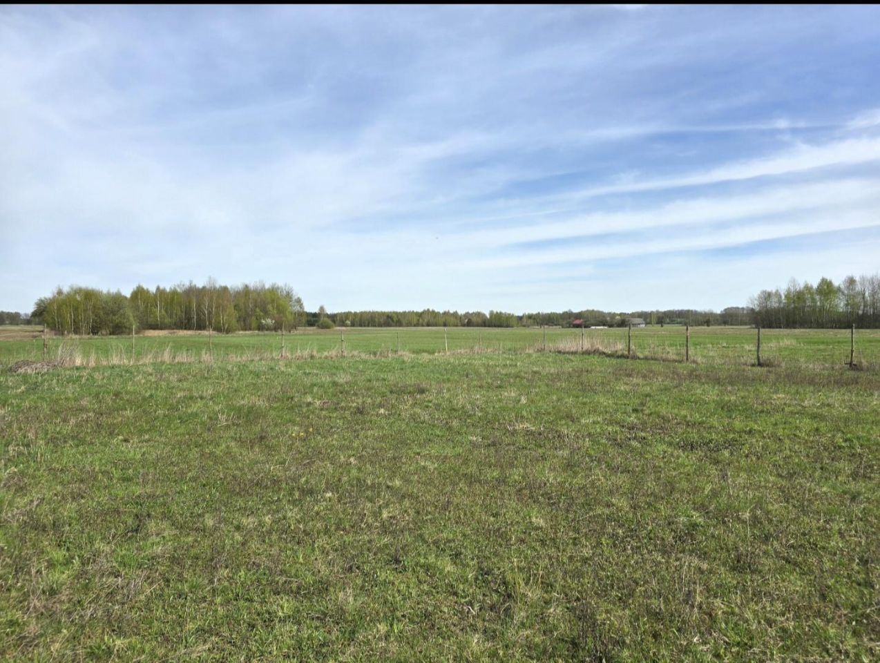 Działka budowlana Puznówka, Puznówka. Zdjęcie 3