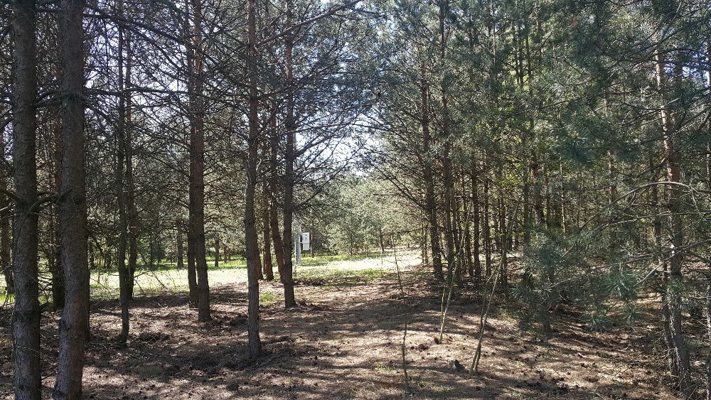 Działka budowlana Żelazna Stara. Zdjęcie 6