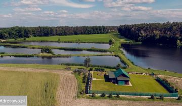 Działka rolno-budowlana Torzeniec