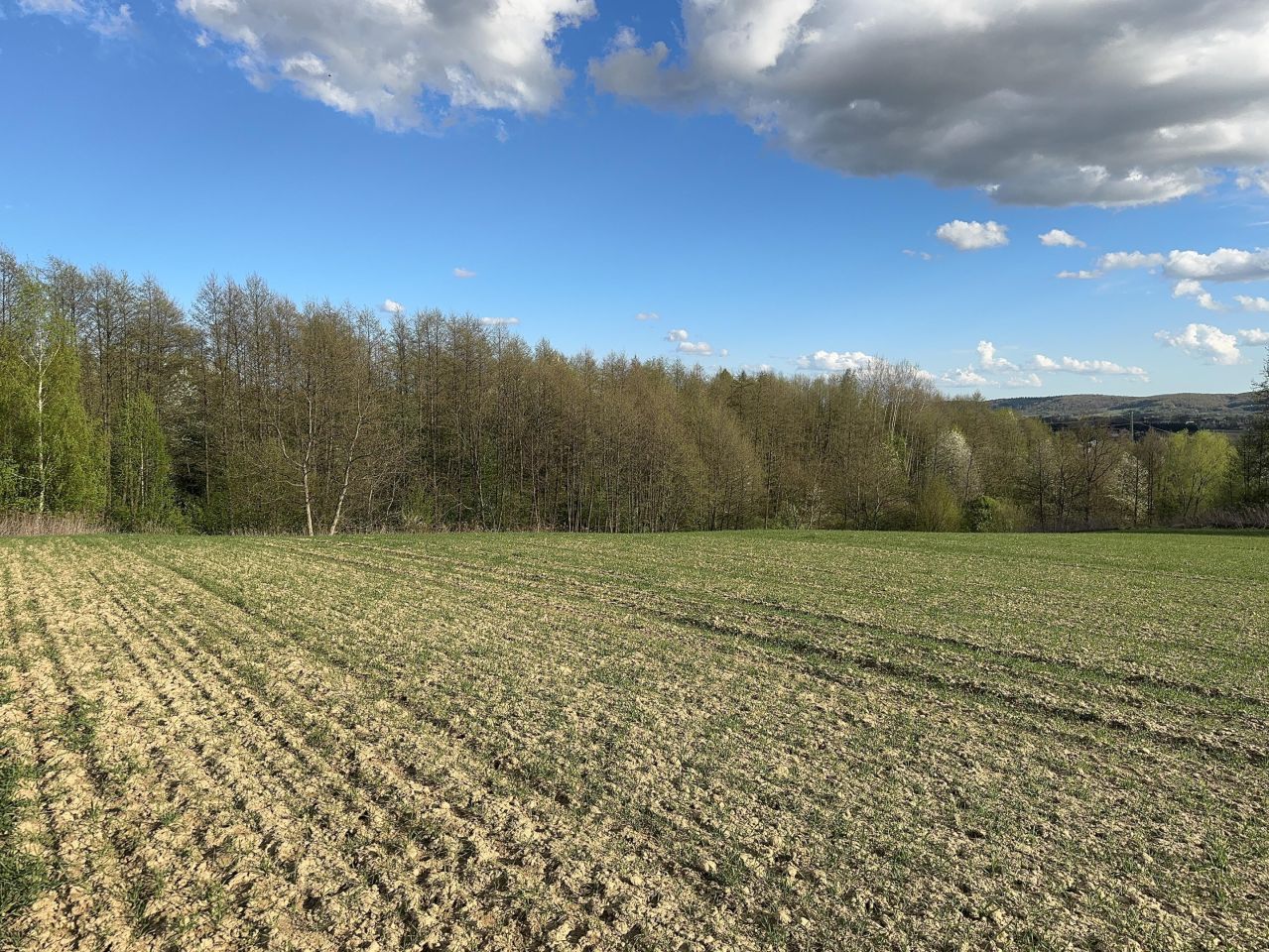 Działka budowlana Jedlicze Męcinka, ul. Partyzantów. Zdjęcie 8