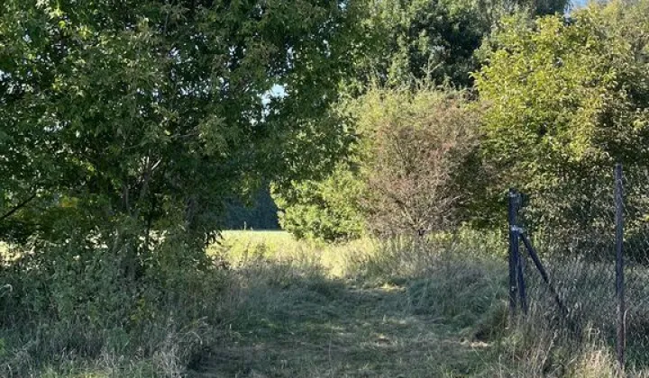 Działka budowlana Kozery, ul. Główna