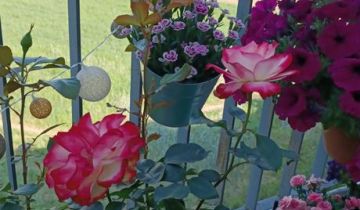 Mieszkanie 2-pokojowe Warszawa Białołęka, ul. Sprawna