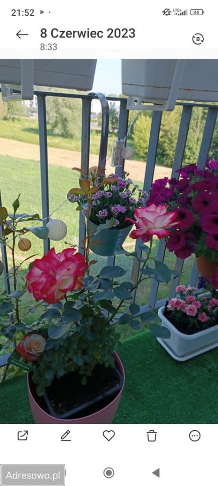 Mieszkanie 2-pokojowe Warszawa Białołęka, ul. Sprawna. Zdjęcie 2