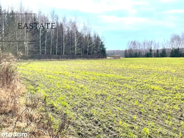 Działka inwestycyjna Harsz. Zdjęcie 4