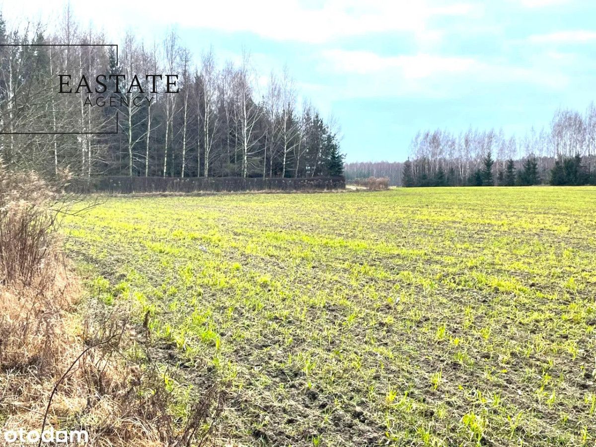 Działka inwestycyjna Harsz. Zdjęcie 4