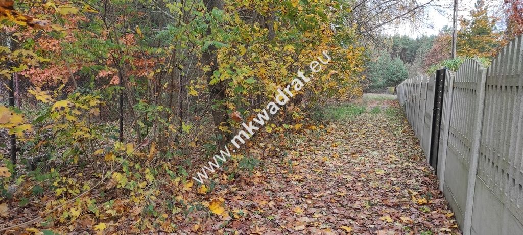 Działka budowlana Tłumy. Zdjęcie 13