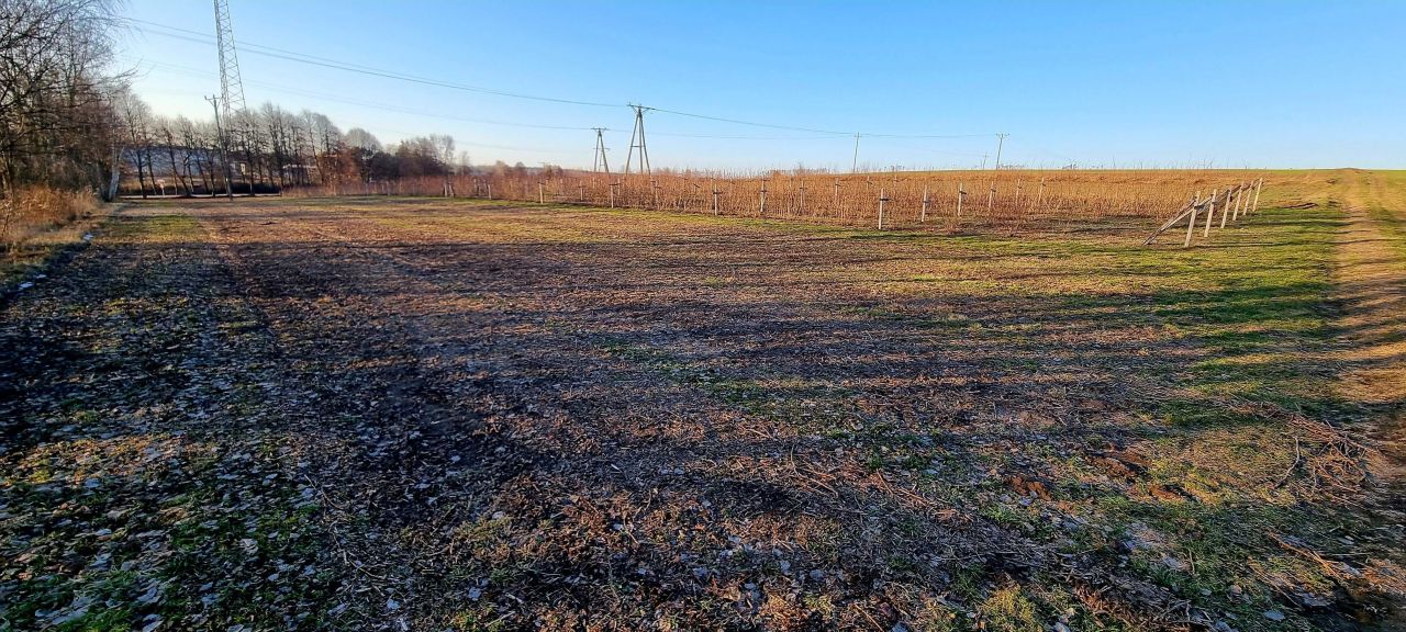 Działka inwestycyjna Janów Lubelski. Zdjęcie 2