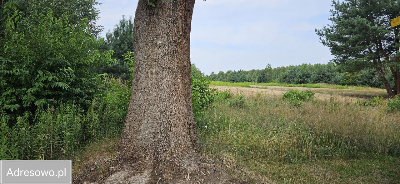 Działka rolno-budowlana Topór. Zdjęcie 6