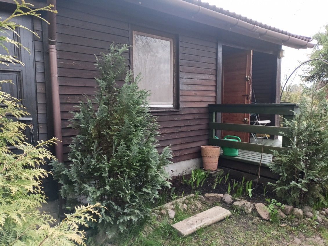 Działka rod Wadąg. Zdjęcie 3