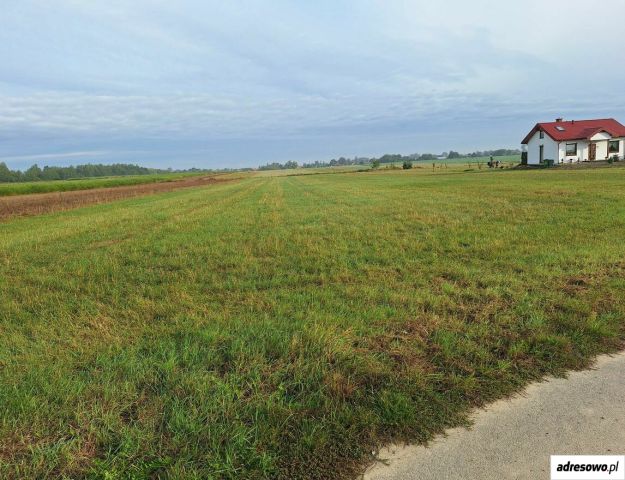Działka budowlana Dachnów. Zdjęcie 1