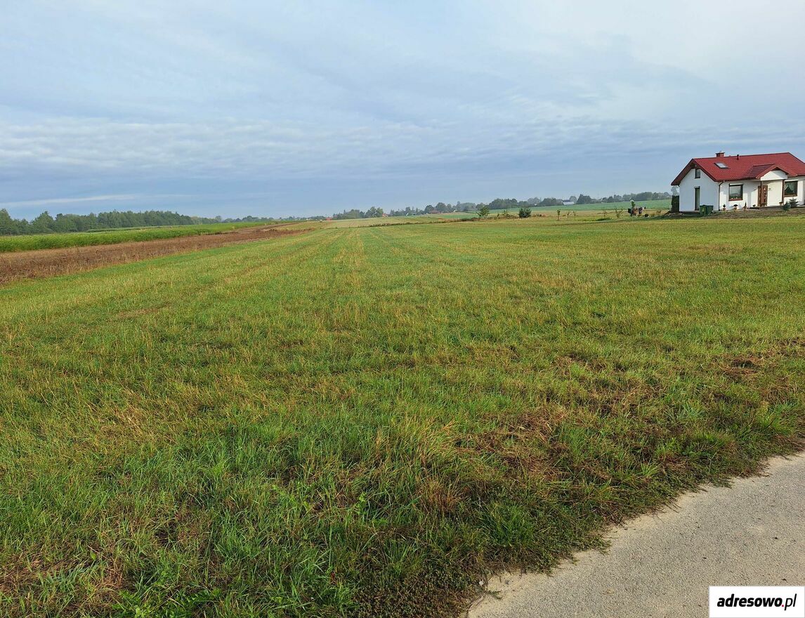 Działka budowlana Dachnów. Zdjęcie 1