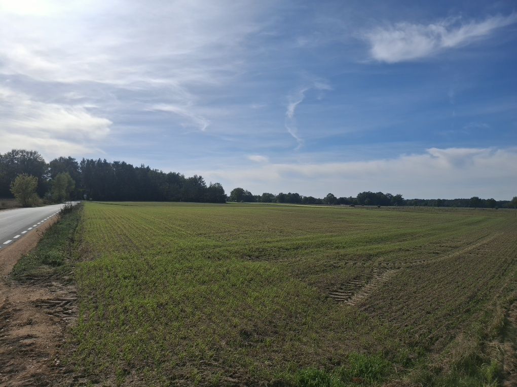 Działka budowlana Bindużka. Zdjęcie 1