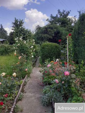 Działka rekreacyjna Wrocław Szczepin, ul. Długa. Zdjęcie 1
