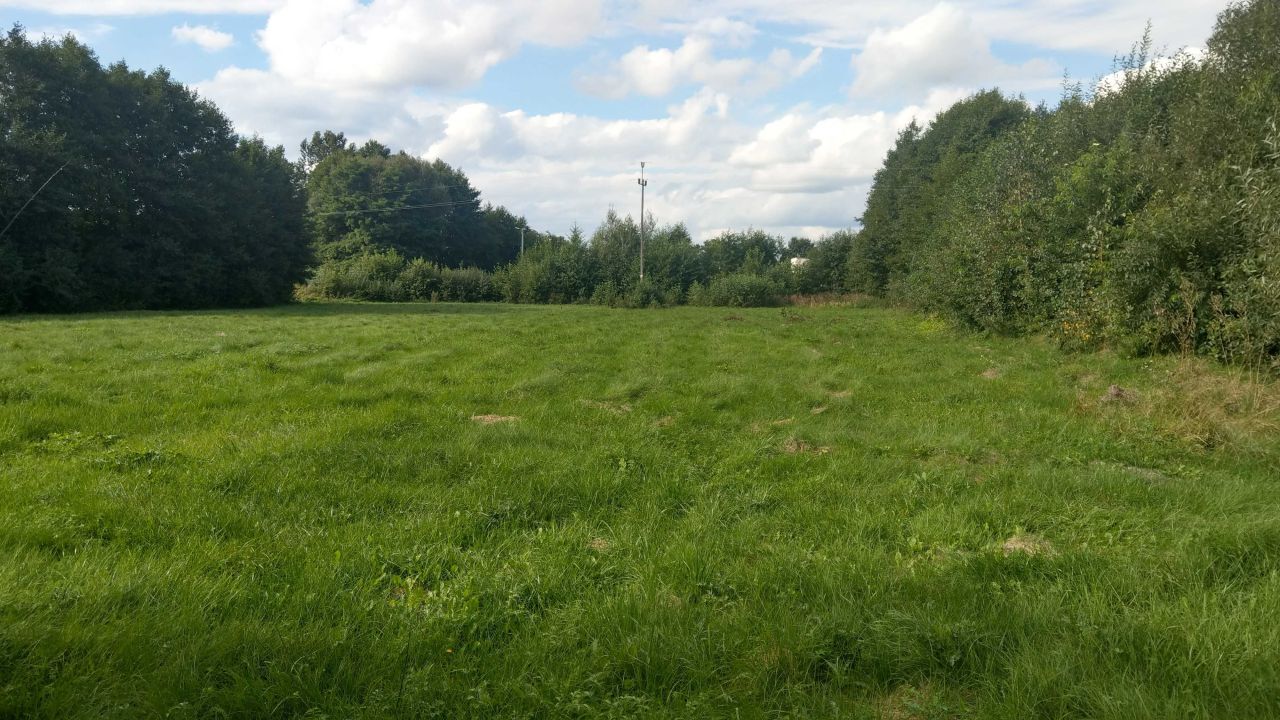 Działka rolna Brzeźce, ul. Ogrodowa. Zdjęcie 7