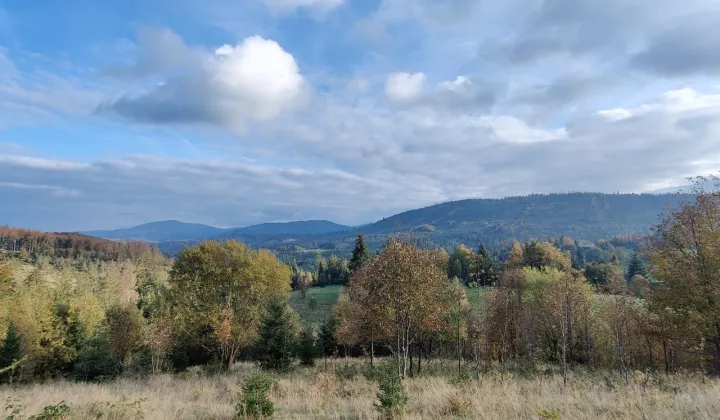 Działka rekreacyjna Zwardoń