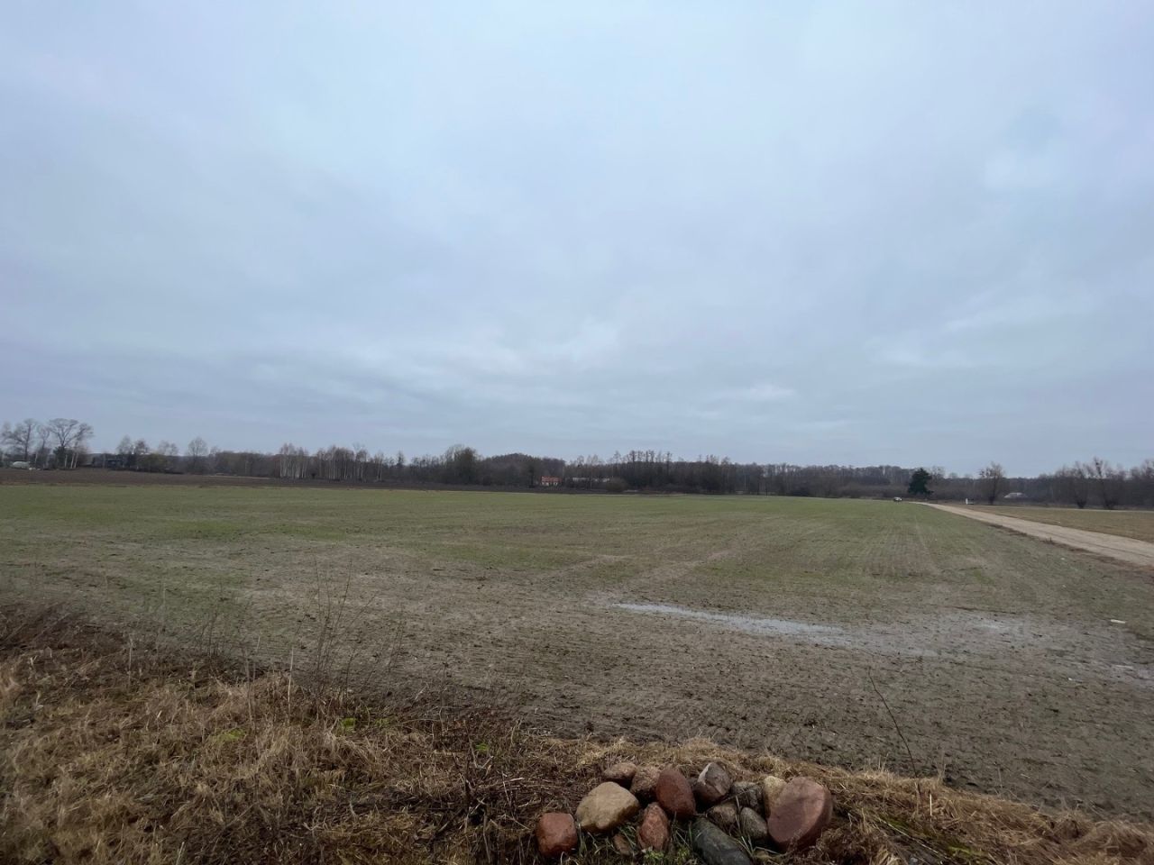 Działka siedliskowa Proboszczewice. Zdjęcie 3