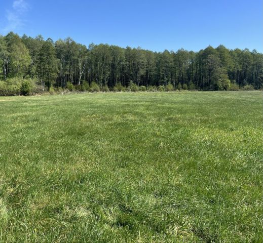 Działka rolna Maliszewo-Łynki. Zdjęcie 1