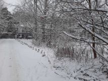 Działka budowlana Stanisławów Pierwszy. Zdjęcie 4