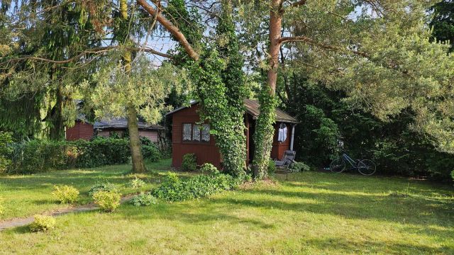Działka rod Siedlce. Zdjęcie 1
