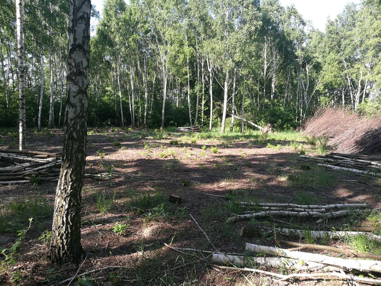 Działka rolno-budowlana Łódź Polesie, ul. Podchorążych