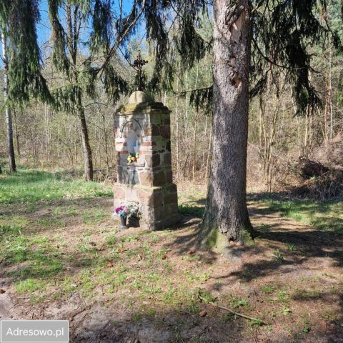 Działka rekreacyjna Nowe Mierzwice. Zdjęcie 1