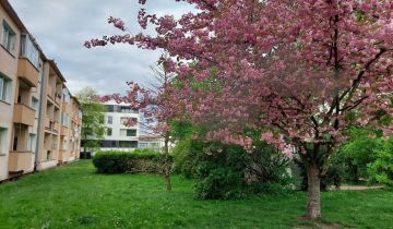 Mieszkanie 3-pokojowe Szczecin Śródmieście, ul. Herbowa