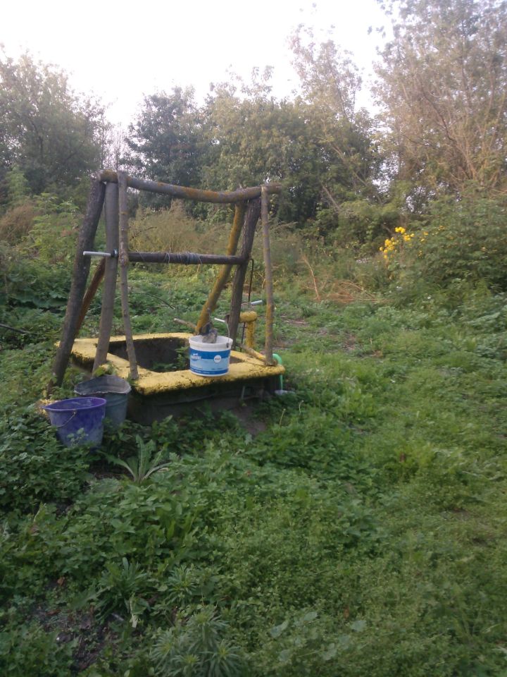 Działka siedliskowa Kosiorki. Zdjęcie 11