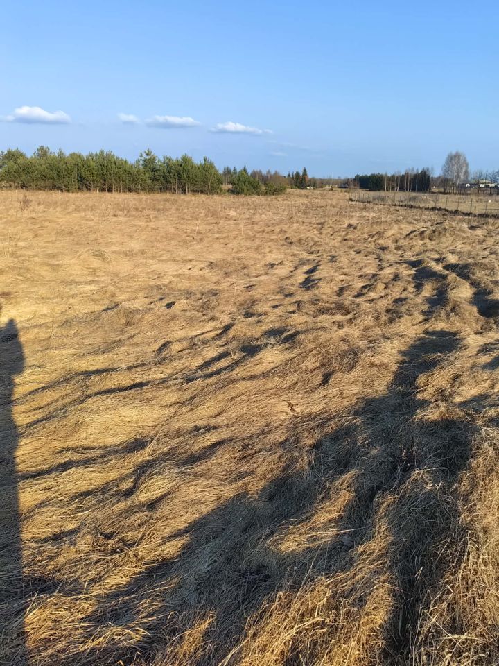 Działka rolno-budowlana Jeglin. Zdjęcie 1