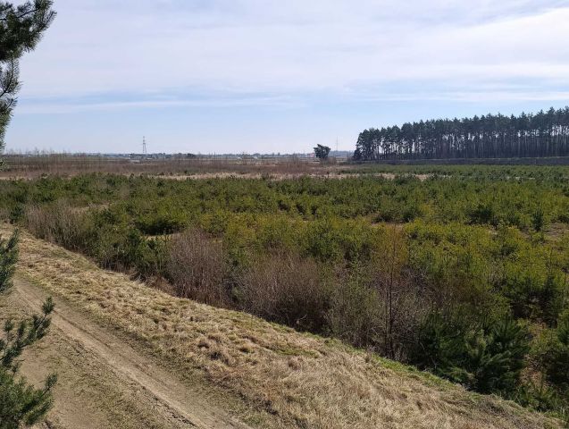 Działka inwestycyjna Mórkowo. Zdjęcie 1