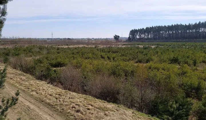 Działka inwestycyjna Mórkowo