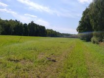 Działka rolna Grabowiec Stawiszcze. Zdjęcie 1