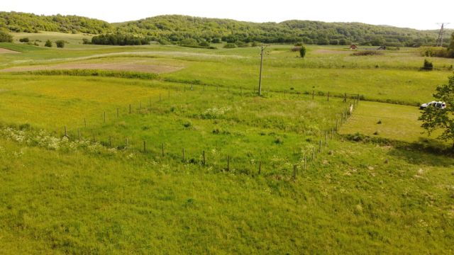 Działka Strachocina. Zdjęcie 2