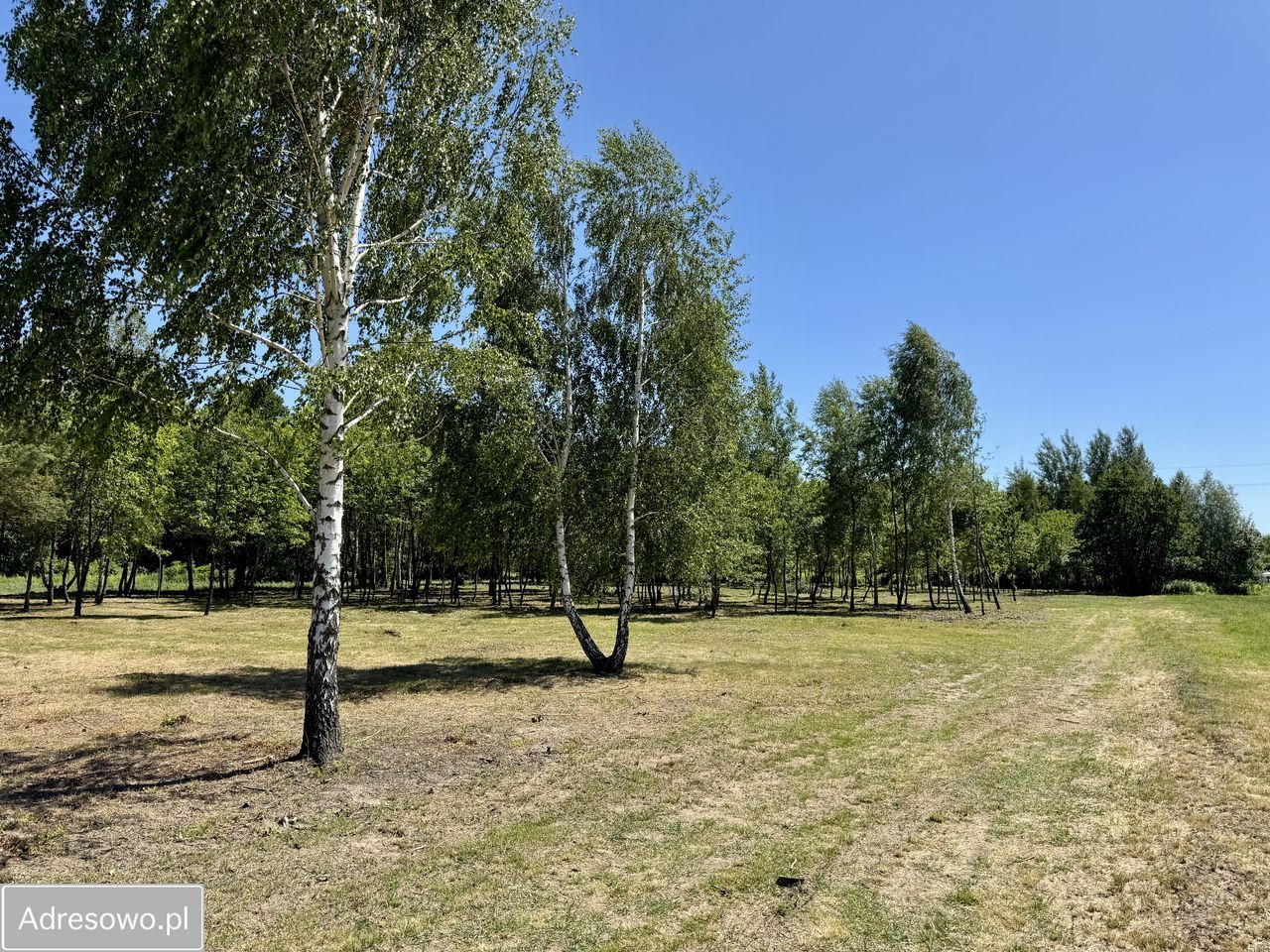 Działka budowlana Antoninów. Zdjęcie 10