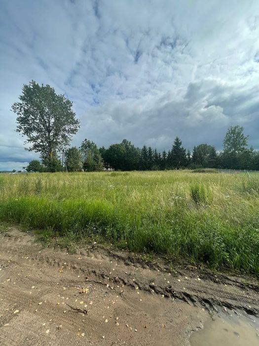 Działka budowlana Siedliska. Zdjęcie 4