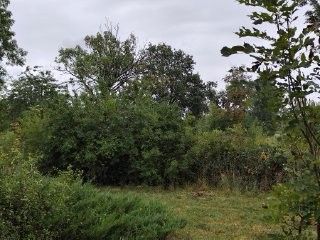 Działka rolno-budowlana Tarnowiec. Zdjęcie 8