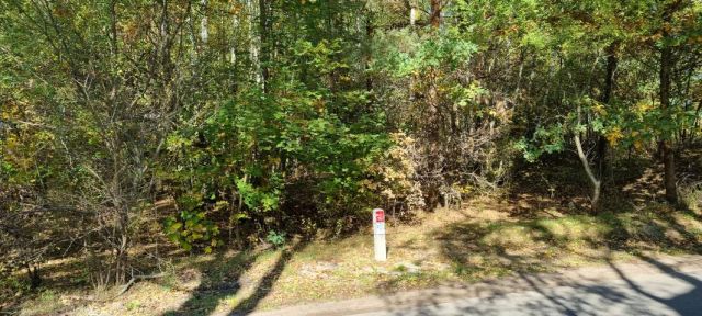 Działka budowlana Żółwin. Zdjęcie 1