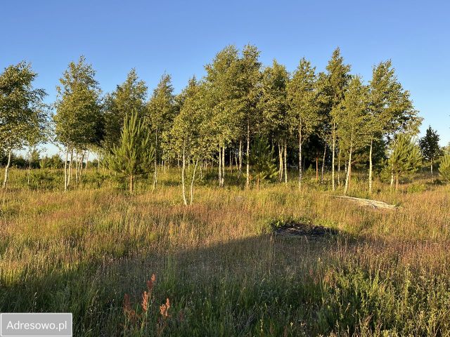 Działka budowlana Nakla, ul. Glinowska. Zdjęcie 1