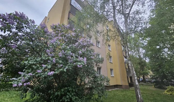 Mieszkanie 3-pokojowe Warszawa Bemowo, ul. Mieczysława Wolfkego