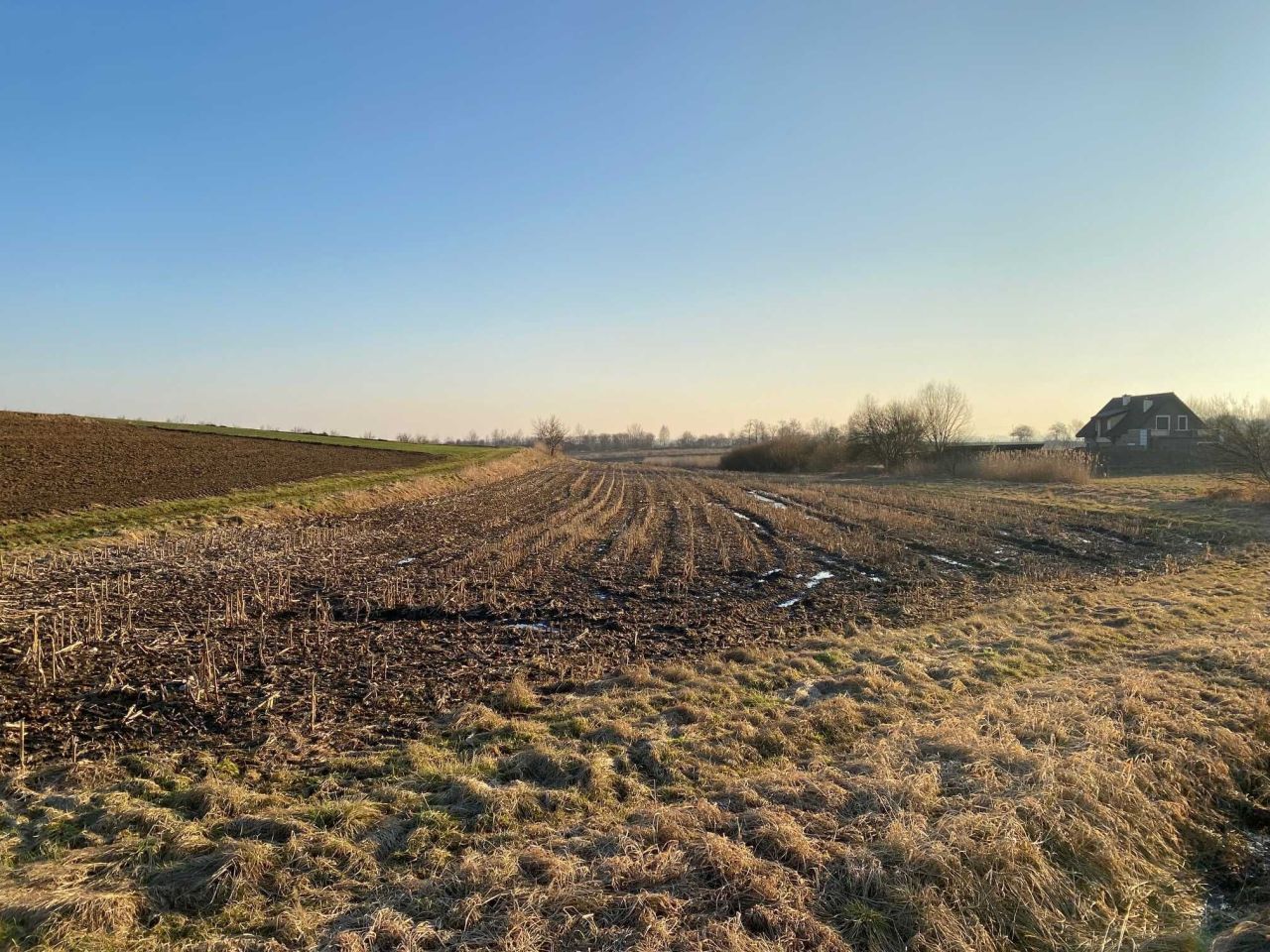 Działka rolna Mników. Zdjęcie 1