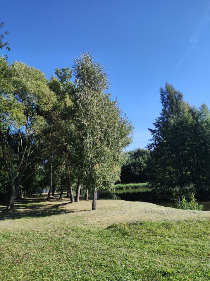 Nieruchomość komercyjna Przybyszów Korzeń. Zdjęcie 8