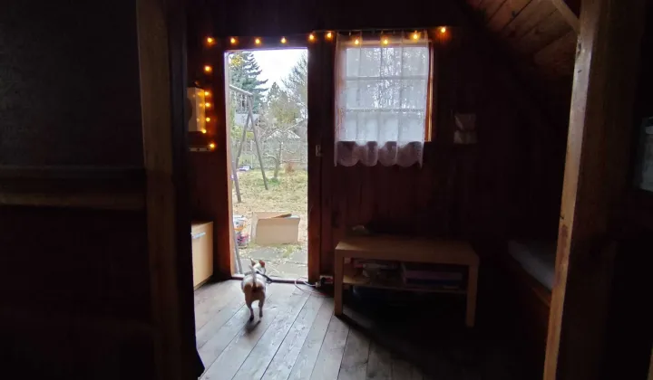 Działka rod Warszawa Targówek, ul. Janowiecka