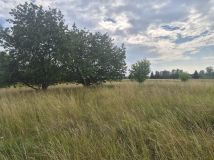 Działka budowlana Tułowice. Zdjęcie 2