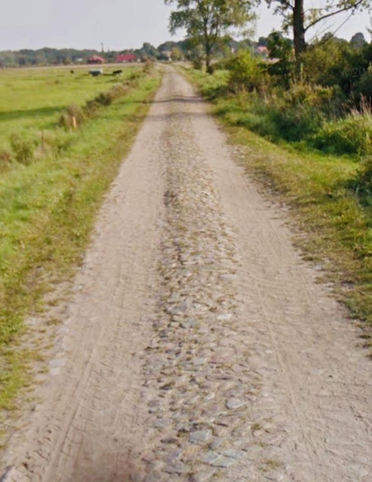 Działka rolna Dalewo. Zdjęcie 6