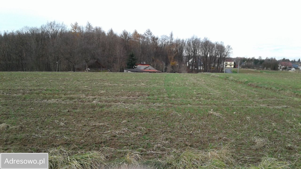 Działka siedliskowa Narama, ul. Centralna. Zdjęcie 2